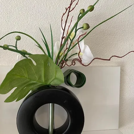 Апартаменты Jardins De Ramel - Appt 2106*** - Cure/ski Wifi Bagneres-de-Luchon